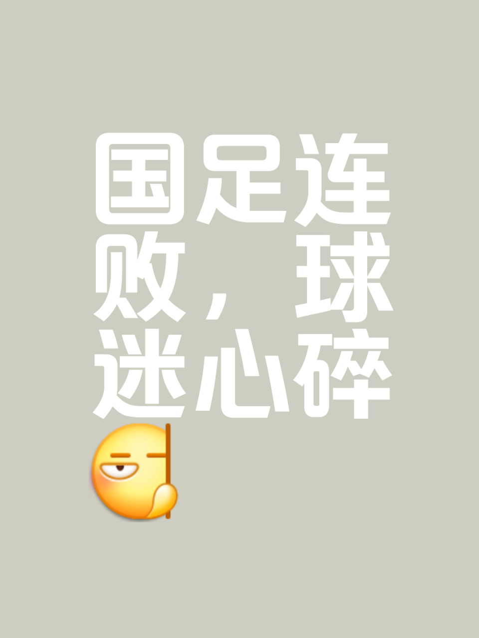 表达一些不, 行李太多的, OcRDE