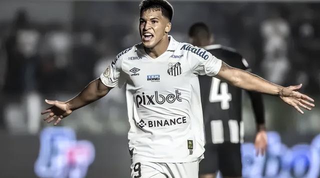 岁的莱昂纳, AA, 笔引援